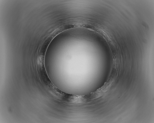 X0000113130093200909041156