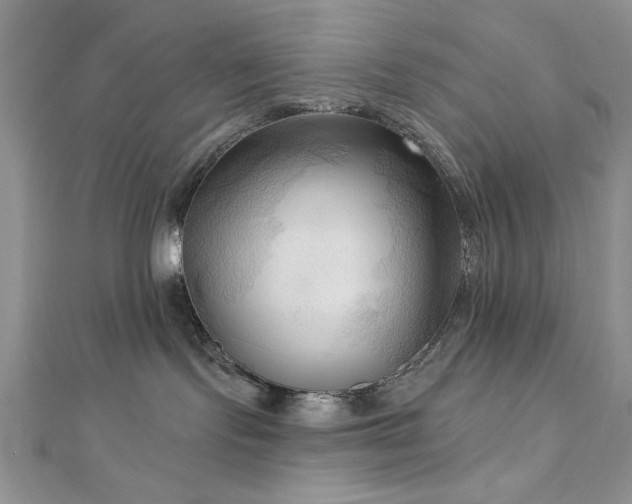 X0000113130095200909041156