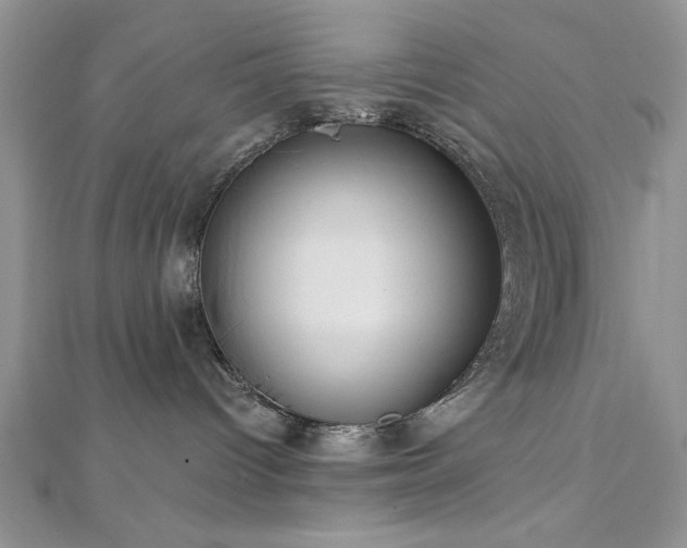 X0000113130096200909041156
