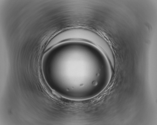 X0000113130097200909041155