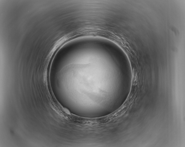 X0000113130099200909041155