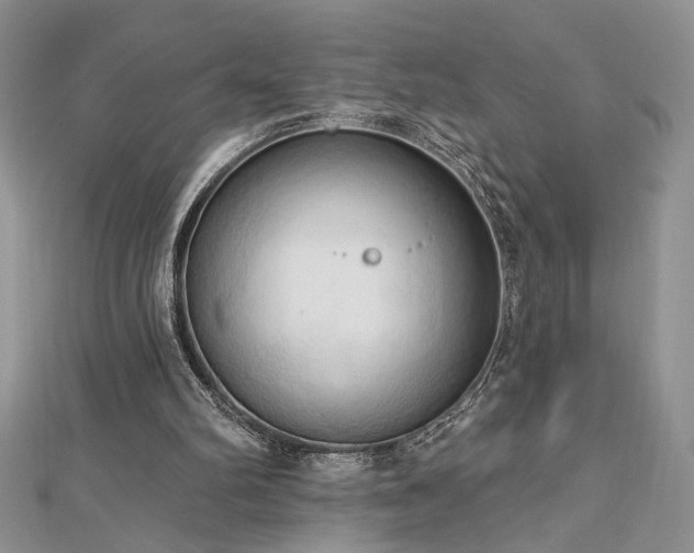 X0000113130102200909041155