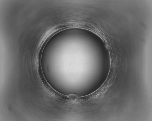 X0000113130103200909041155