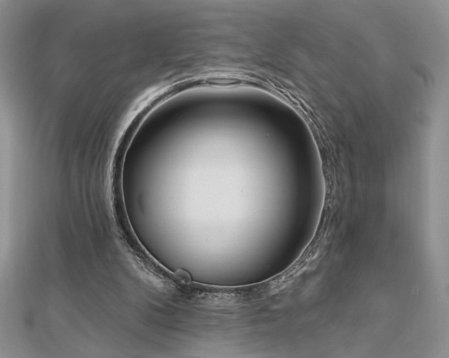 X0000113130104200909041155