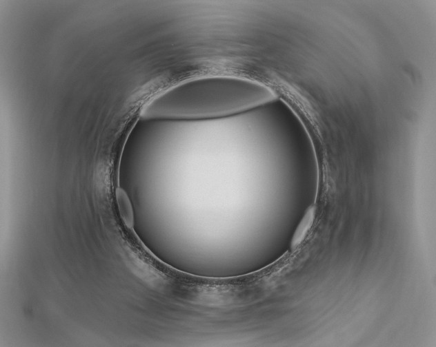 X0000113130105200909041155