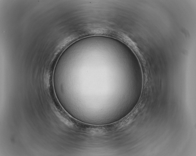 X0000113130106200909041155