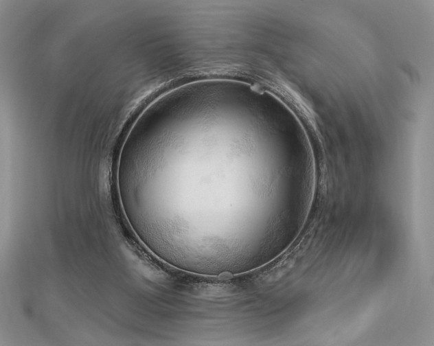 X0000113130107200909041155