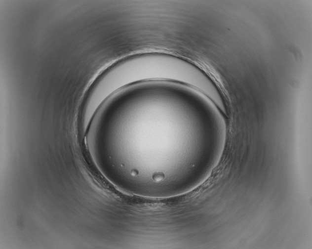 X0000113130108200909041155