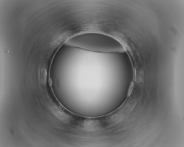X0000113130109200909041155