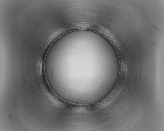 X0000113130110200909041155
