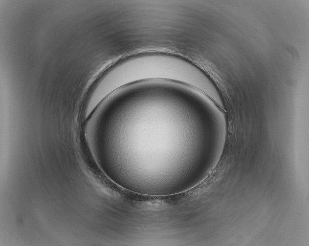 X0000113130112200909041155