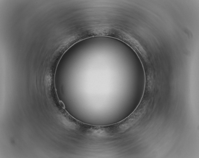 X0000113130113200909041155