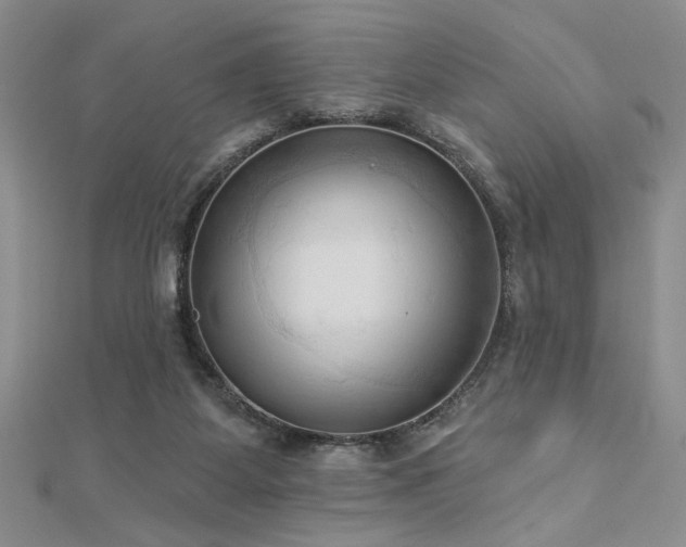 X0000113130115200909041155