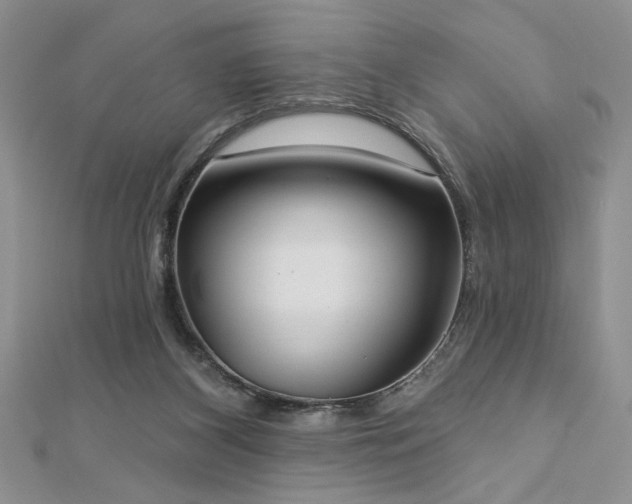 X0000113130116200909041155
