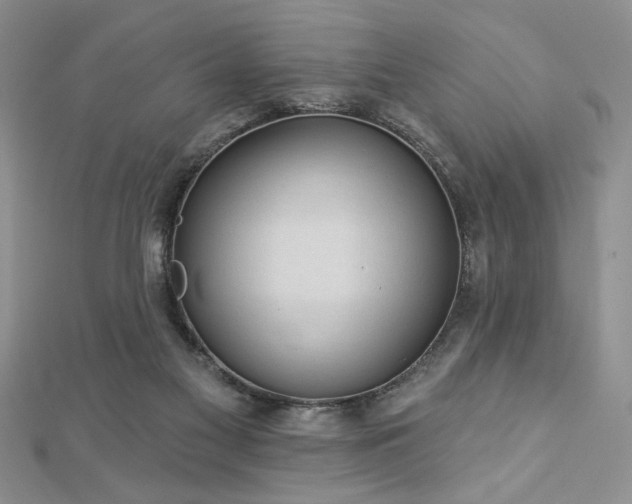 X0000113130117200909041155