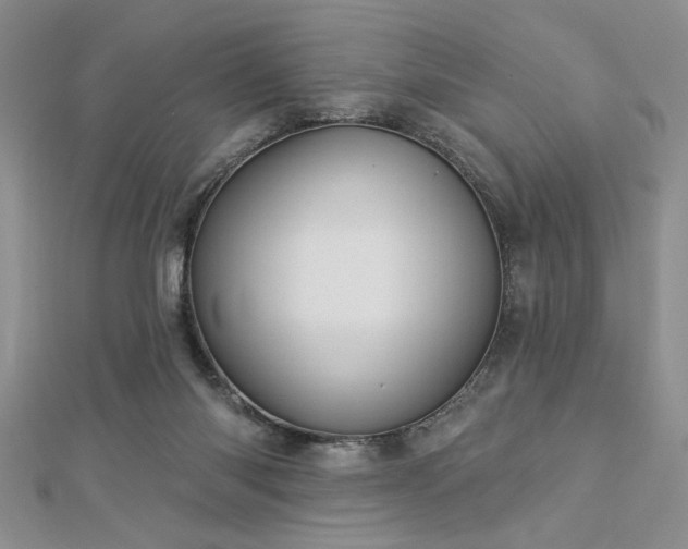 X0000113130118200909041155