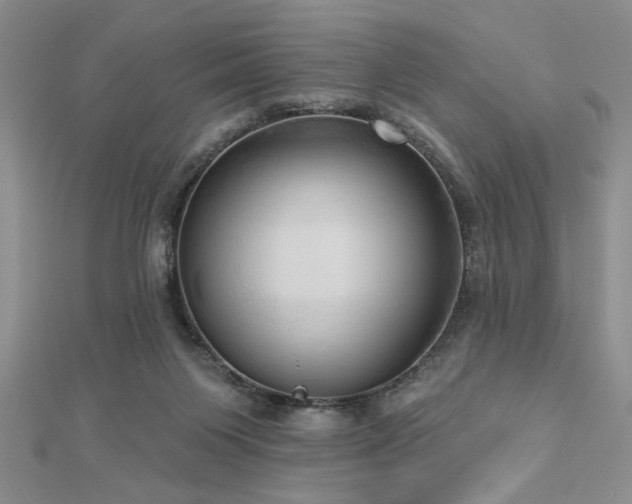 X0000113130119200909041155