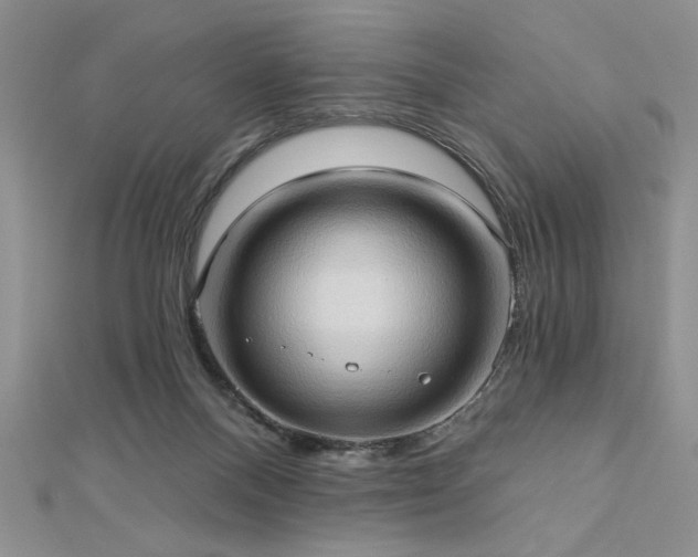X0000113130120200909041155