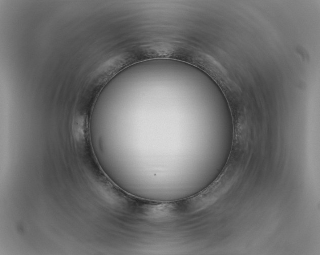 X0000113130122200909041155