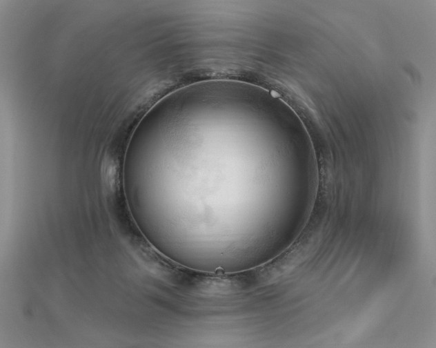 X0000113130123200909041155