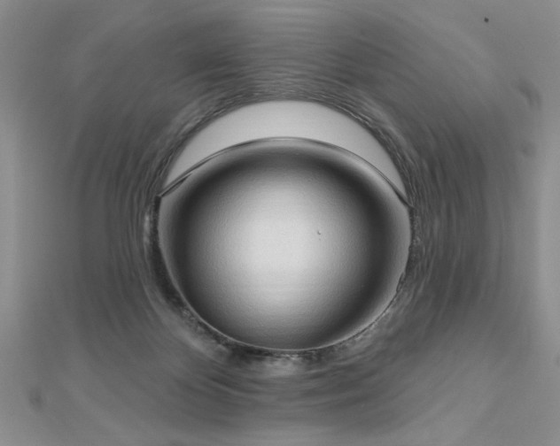 X0000113130124200909041155