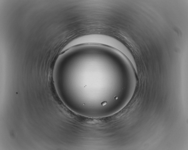 X0000113130125200909041155