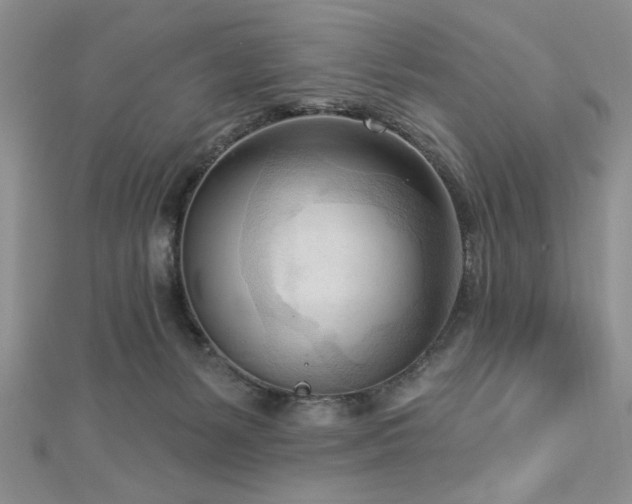X0000113130127200909041155