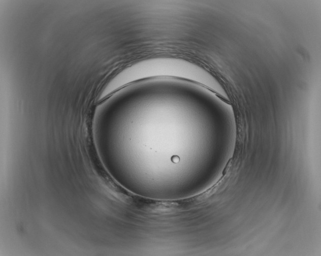 X0000113130128200909041155