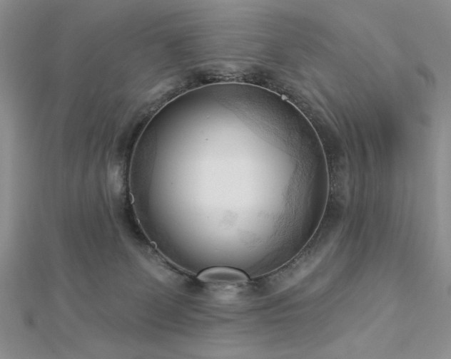 X0000113130131200909041155