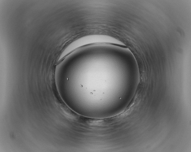 X0000113130132200909041155