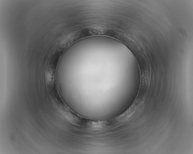 X0000113130134200909041155