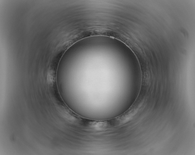 X0000113130135200909041155