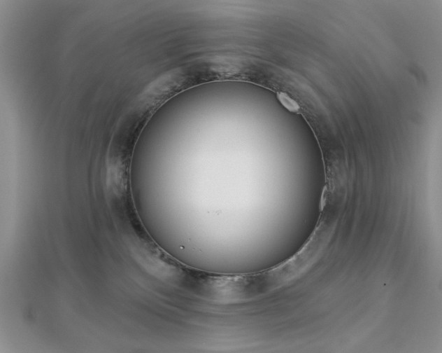 X0000113130136200909041155