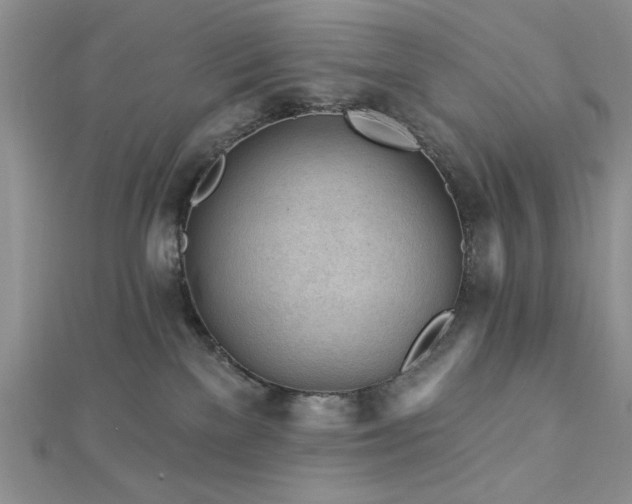X0000113130137200909041155