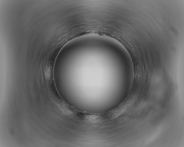 X0000113130139200909041155