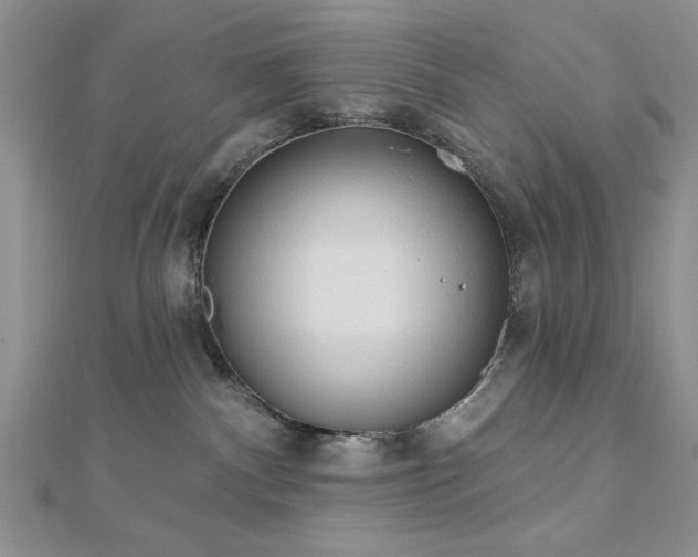 X0000113130140200909041155