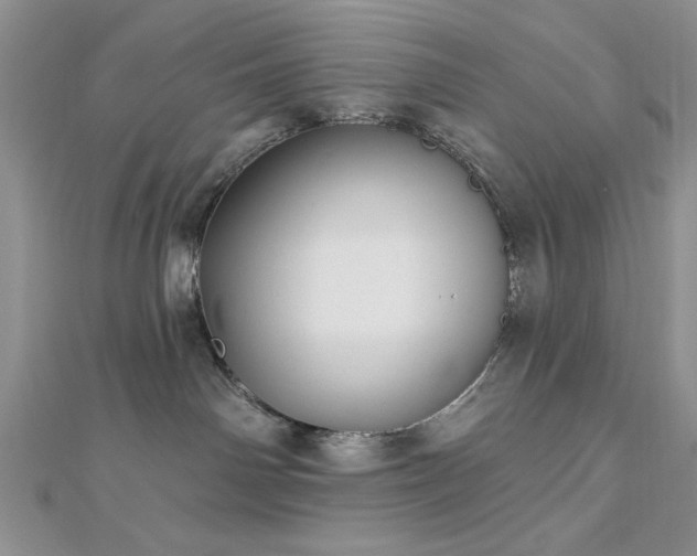 X0000113130142200909041155