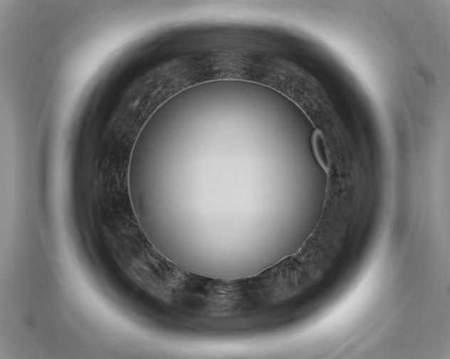 X0000113130143200909041155