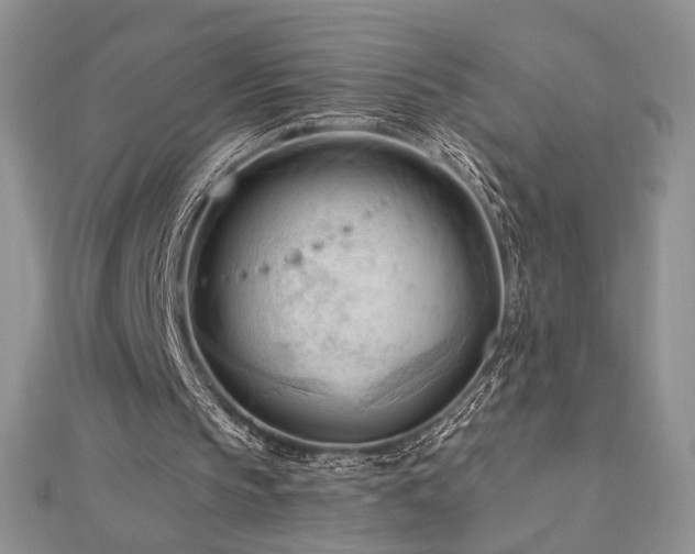 X0000113130145200909041154