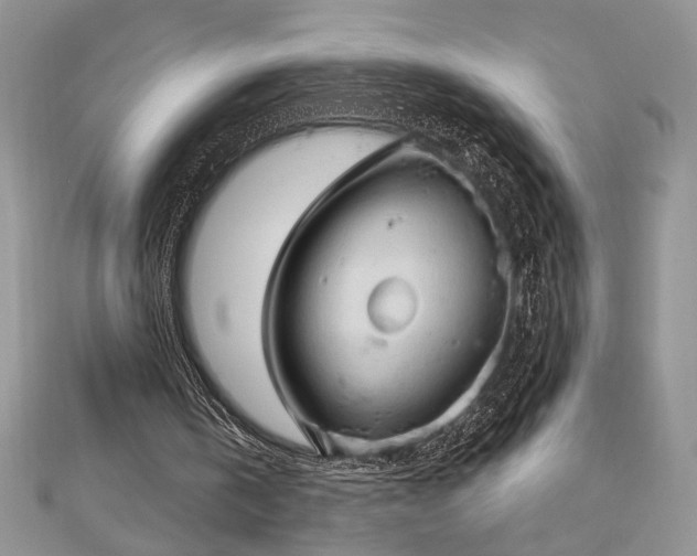 X0000113130146200909041154