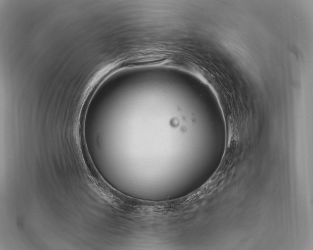 X0000113130147200909041154