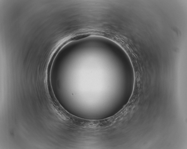X0000113130148200909041154