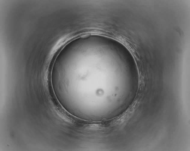 X0000113130151200909041154