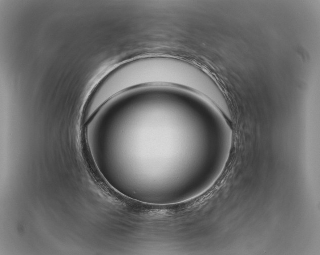 X0000113130152200909041154
