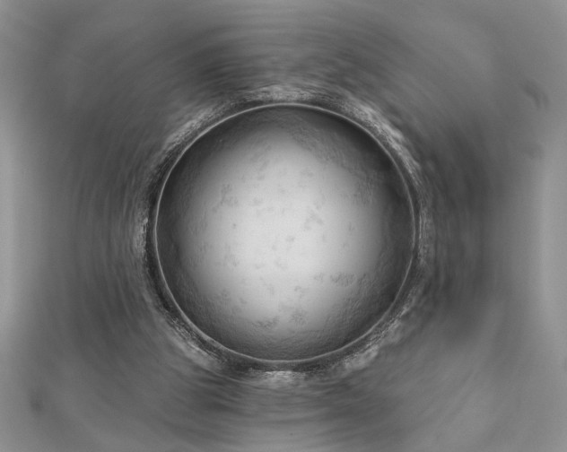 X0000113130153200909041154