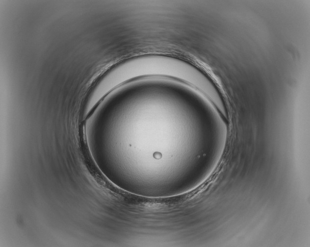 X0000113130154200909041154