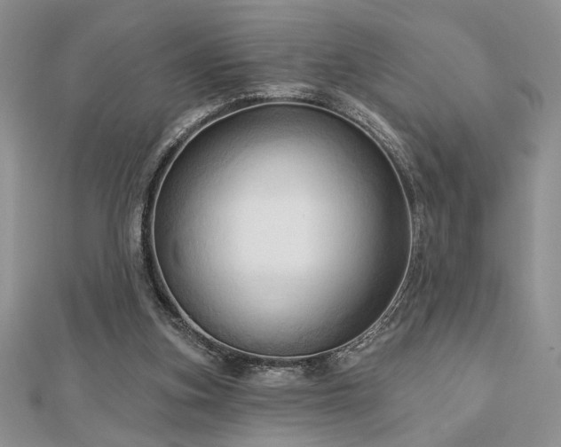 X0000113130155200909041154