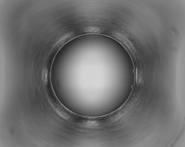 X0000113130157200909041154
