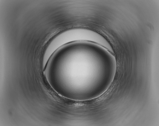X0000113130158200909041154