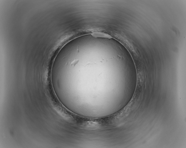 X0000113130159200909041154